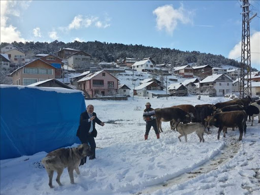 Koyulhisar’da beklenen kar yağışı başladı!