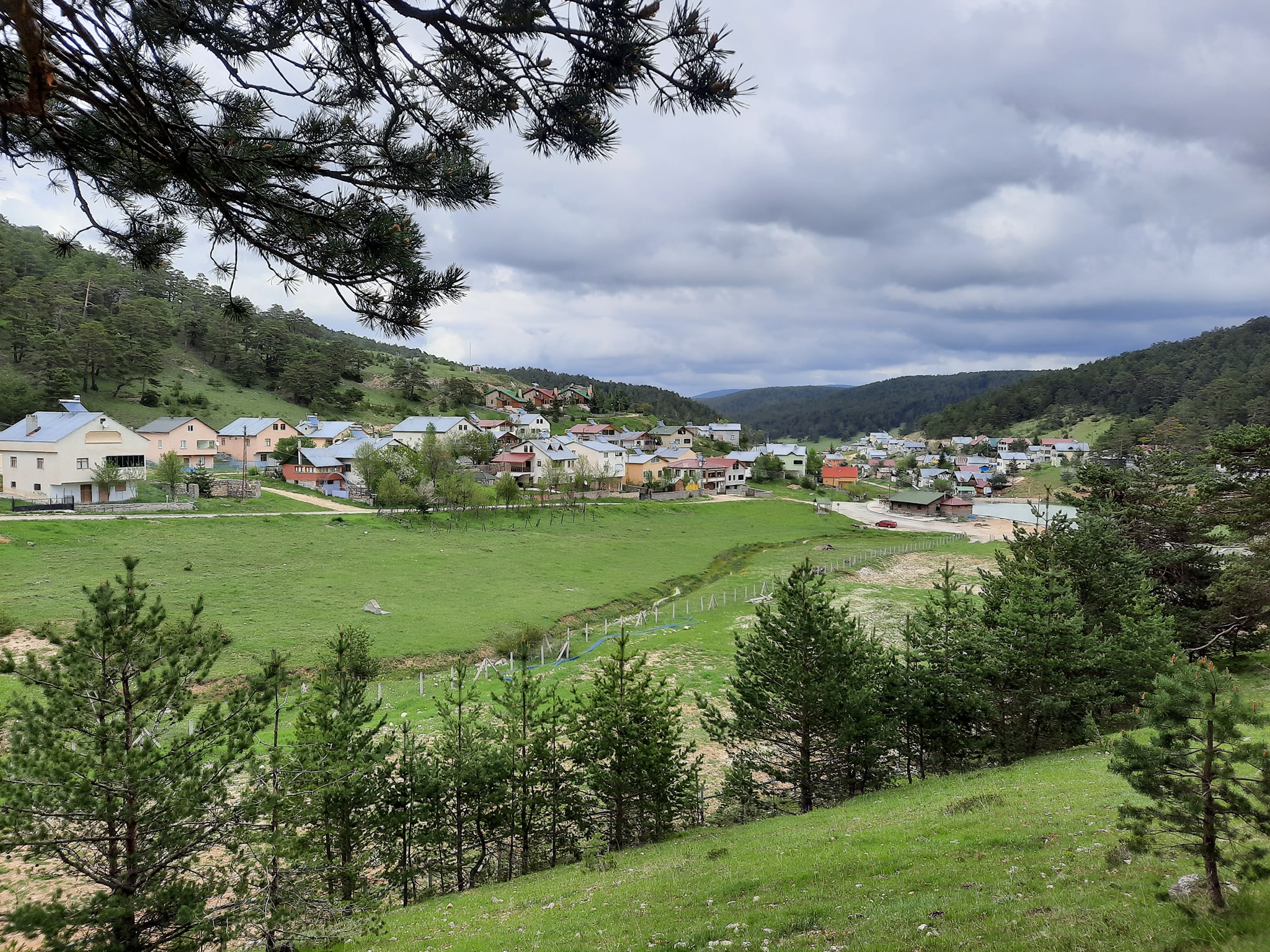 Koyulhisar’ın Misafirperverliği: Bir Hemşehri Gözünden