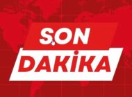 Kelkit Vadisi’nde Kene Alarmı: Daha Kaç Can Gidecek?