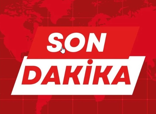 Kelkit Vadisi’nde Kene Alarmı: Daha Kaç Can Gidecek?